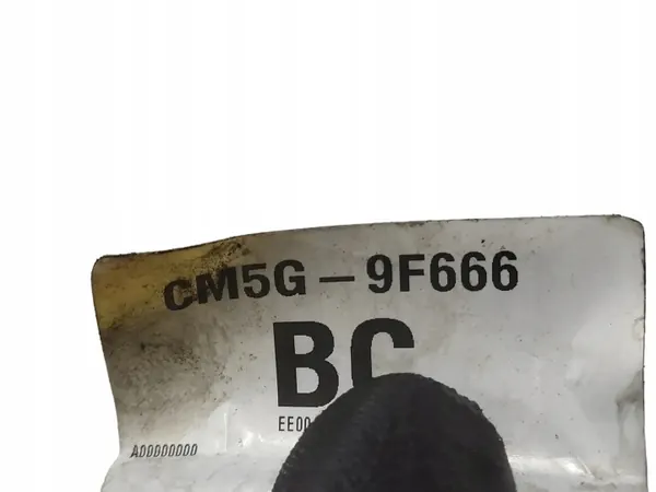 Rampes d'injection FORD ECOSPORT CM5G9F666 1.0L 92kW image 4