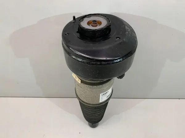 Ammortizzatore Anteriore Destro AUDI A8 D5 4N4616040K image 4