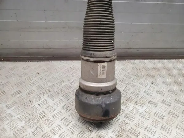 Amortecedor Airmatic Direito Traseiro OEM 2213202213 image 4