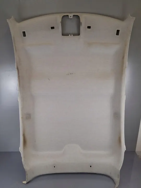 Gebrauchte Dachhimmel Citroen C3 III OEM 98118572BJ image 2