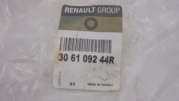 Bomba de embreagem Dacia 306109244R image 5