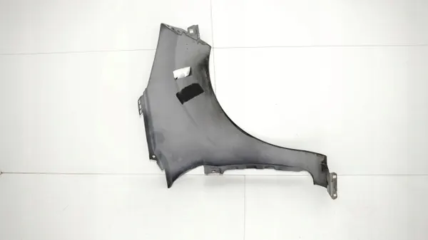Guardabarros delantero izquierdo OEM 360150516 Ford Fiesta MK7 image 10