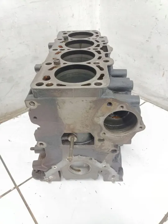 Bloco motor completo CAY VW Audi Seat 1.6 TDI image 3