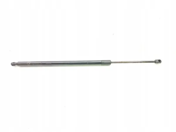 Amortecedor de porta-malas Ford OE DS73-A406A11-AK image 2