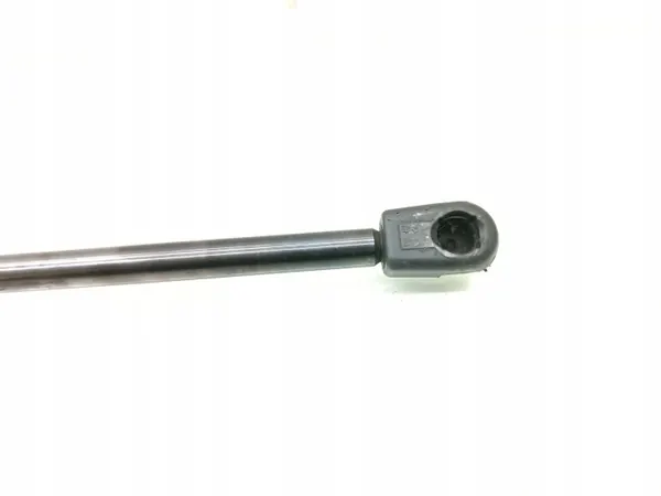 Amortecedor de porta-malas Ford OE DS73-A406A11-AK image 3