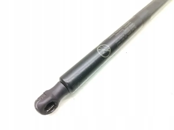 Amortecedor de porta-malas Ford OE DS73-A406A11-AK image 5