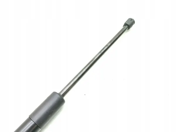 Amortecedor de porta-malas Ford OE DS73-A406A11-AK image 6