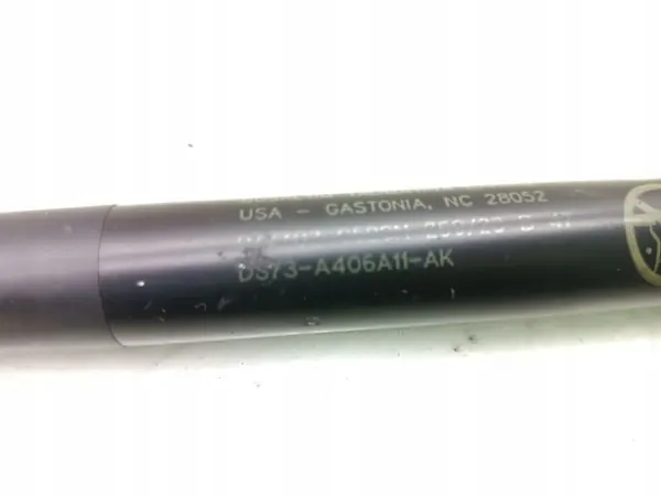 Amortecedor de porta-malas Ford OE DS73-A406A11-AK image 7