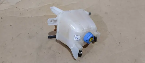 Ausgleichsbehälter Fiat Ducato III Boxer Jumper image 3