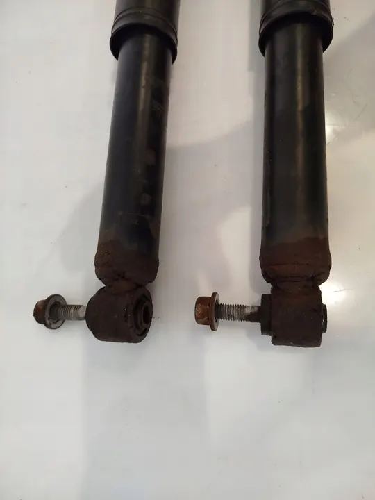 Ammortizzatore posteriore Renault Scenic III 09- image 3