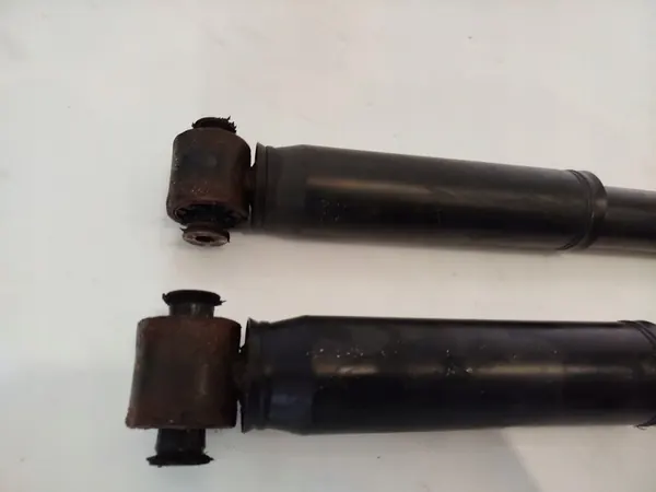 Ammortizzatore posteriore Renault Scenic III 09- image 4