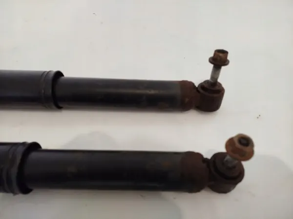 Ammortizzatore posteriore Renault Scenic III 09- image 5