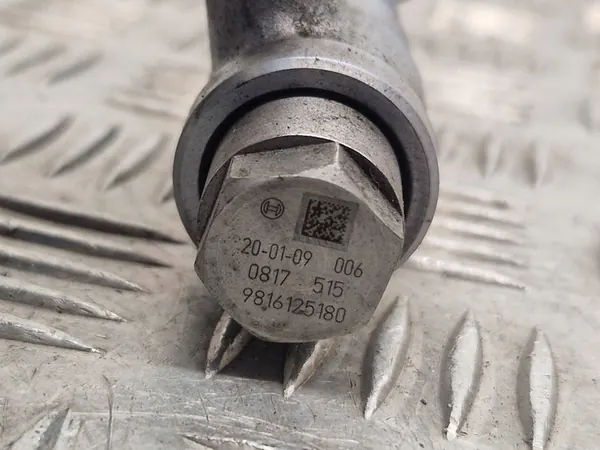 Brandstofrail Peugeot 308 2020 image 4