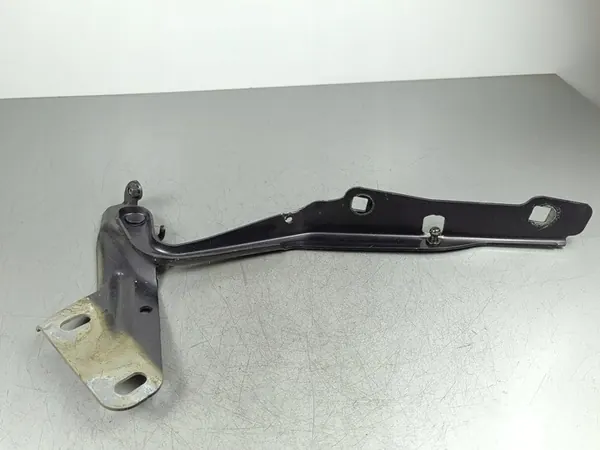 Hastes do capô Dodge RAM VAN 2018 image 1