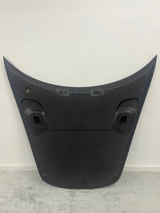 Capó Porsche OEM 9GT823033 B Carbon Guardabarros Usado image 4