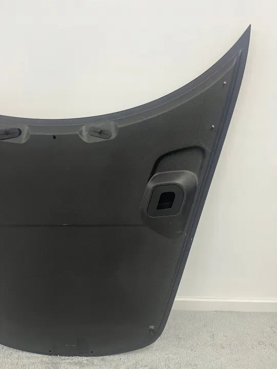 Capó Porsche OEM 9GT823033 B Carbon Guardabarros Usado image 5