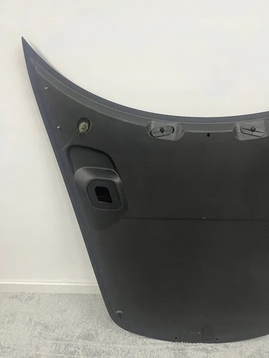 Capó Porsche OEM 9GT823033 B Carbon Guardabarros Usado image 6