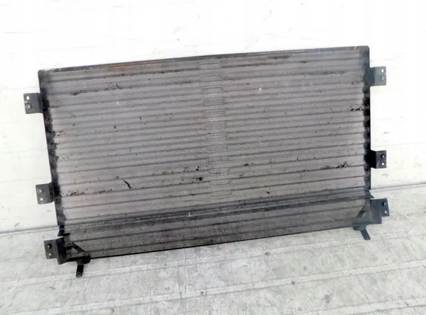 Grille Radiateur & Condenseur AC OEM 11 pour MB Actros MP4 image 4