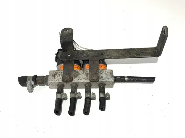 Inyector GLP OEM LORK-212-19069 09SQ9 Inyección Gas image 2