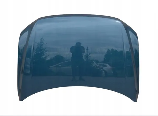 Frammask VW TIGUAN II 2016-2022 OEM 5NA823031K image 3