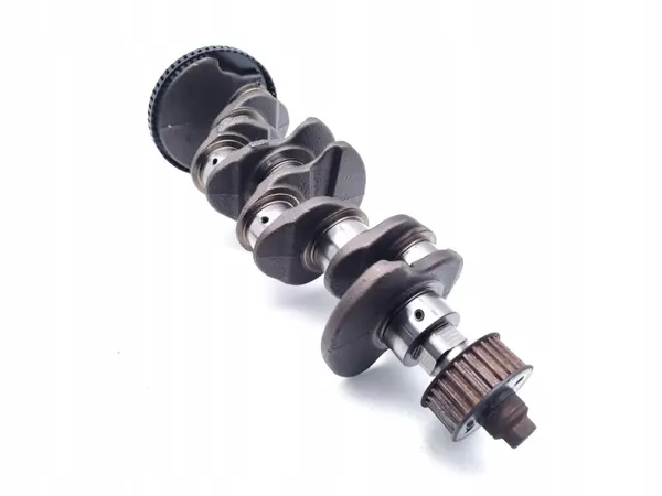 Krukas Fiat Doblo OEM 198A3.000 1.6 D Multijet image 3