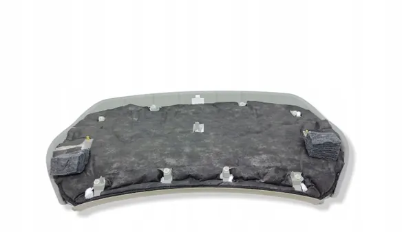 BMW X4 F26 Bagageutrymmessidolinje OEM 7338104 image 6