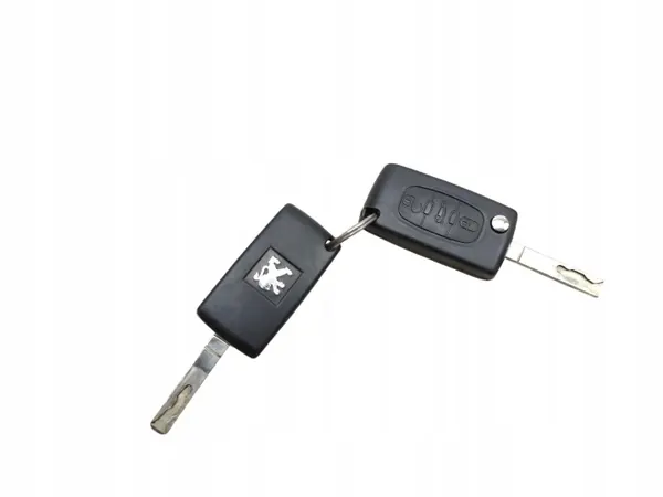 Insertion de clé de contact OEM N0502455 Peugeot 407 image 8