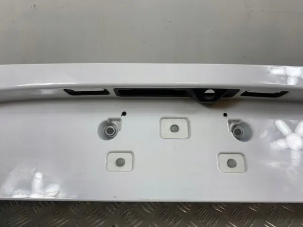 Alfa Romeo Stelvio Kennzeichenleuchte OEM 156117304 image 3