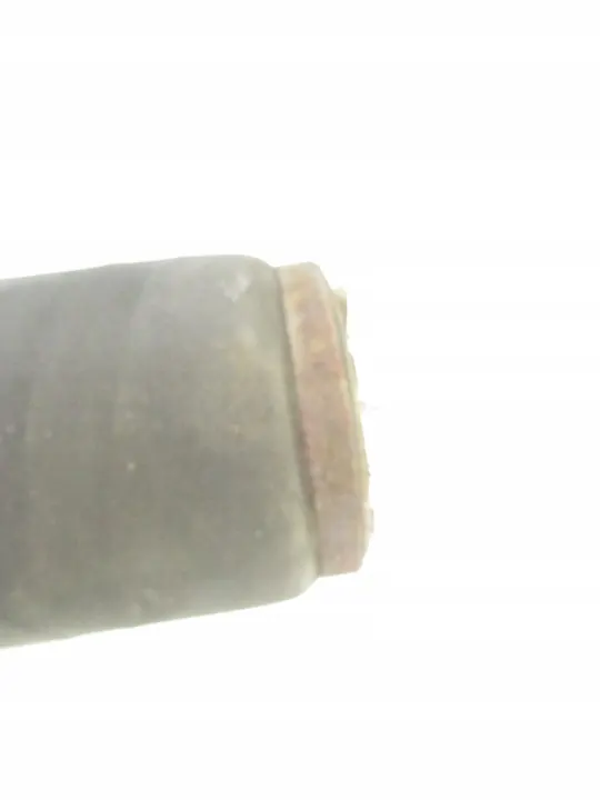 Luftfjädring OEM 6750356 för BMW E53 X5 höger sida image 7