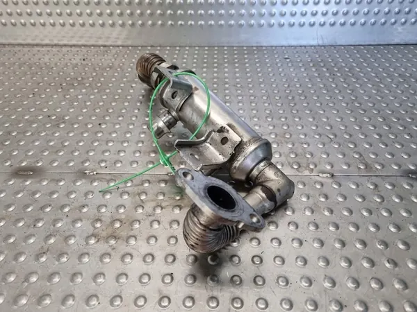 Enfriador de escape Ford Transit Connect 1.8 TDCI image 3