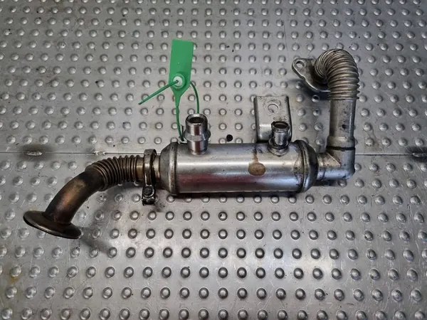 Enfriador de escape Ford Transit Connect 1.8 TDCI image 5