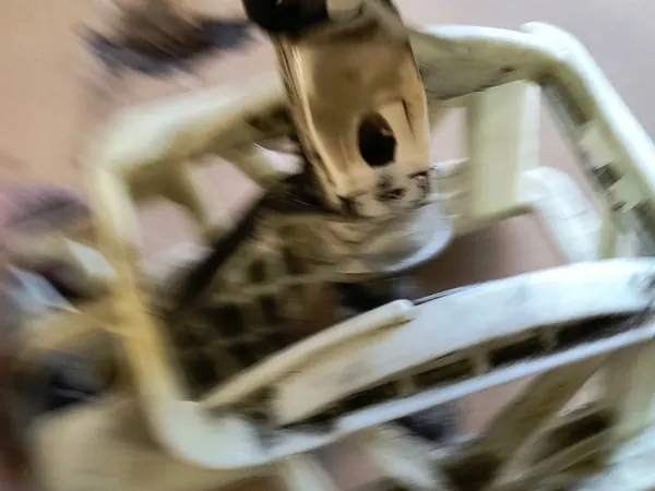 Opel Vaihdekeppi OE 90523924 image 3