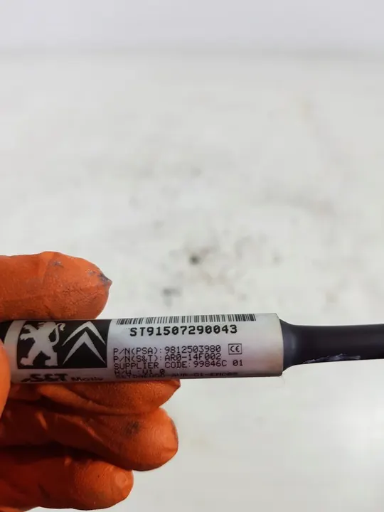 PEUGEOT 308 T9 Cámara Trasera 9812503980 image 10