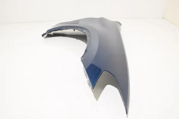 Parafango Anteriore Destro BMW X3 G01 X4 G02 C1M Phytonic image 6