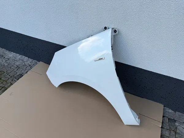 Vänster framskärm Renault Scenic III 2013-2016 OEM image 4