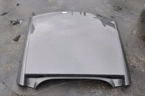 OEM 421699 Kattoverhoilu Aston Martin Vantage 2017 image 4