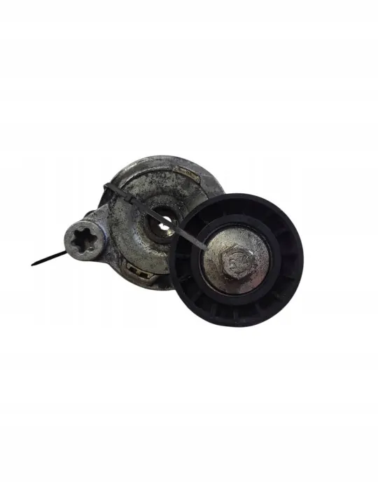 Alternatorriemspanner OEM 2522309 voor Volvo V60 image 2