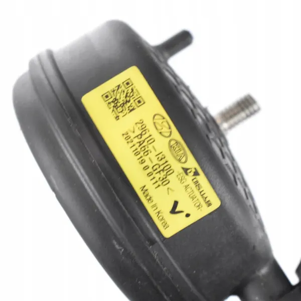 Module générateur de son OEM 29610-I3100 pour Hyundai image 3