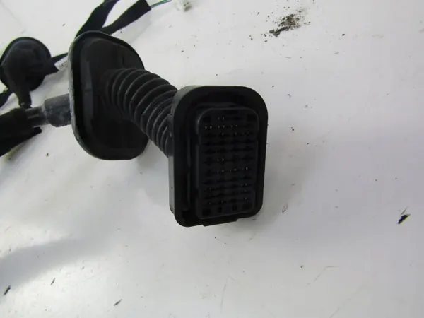 Faisceau de porte Renault Clio IV OEM 241248491R image 4