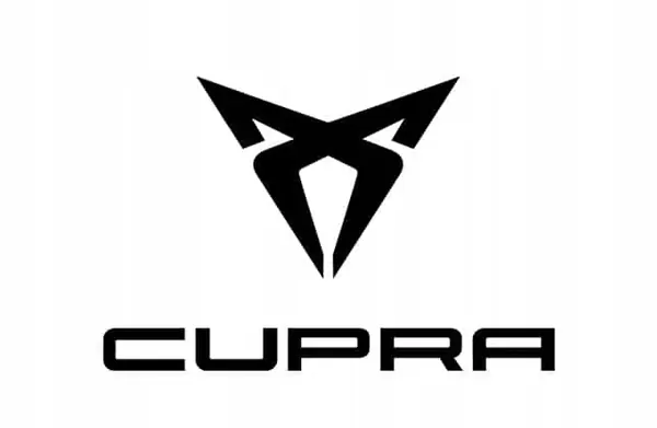 Radiador de agua VW / SEAT / SKODA (5WA121251E) image 3