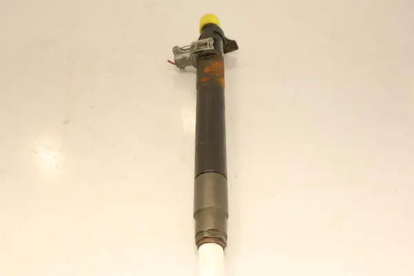 Inyector EMBR00101D para Peugeot 3008 I 2.0HDI image 2