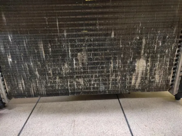 RENAULT KANGOO II 1.5 DCI RADIADOR INTERCOOLER image 2