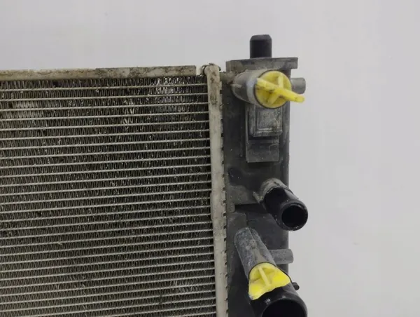 Radiateur d'eau Toyota C-HR I 2017 OEM AMD114624 image 9