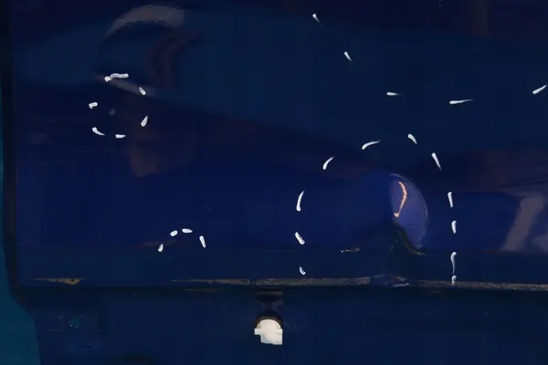 TIGUAN II 5N R Left Rear Door 2021 image 7