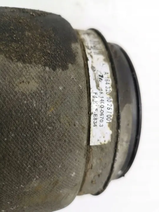 Borsa di Sospensione Pneumatica A1643201025 image 3