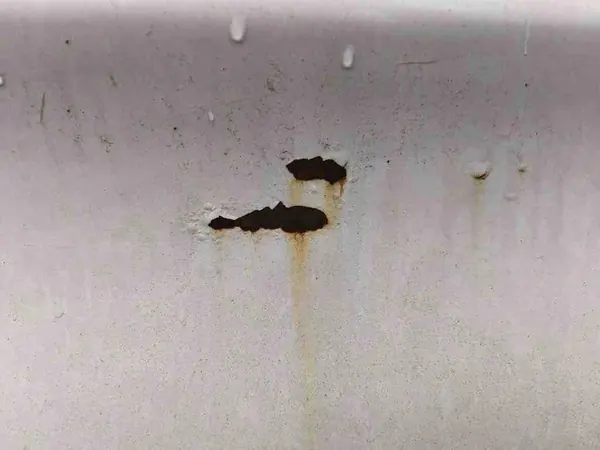 Painel Traseiro Esquerdo BMW 5 (F10) 7240487 image 10