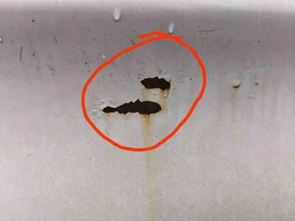 Painel Traseiro Esquerdo BMW 5 (F10) 7240487 image 4