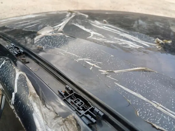 BMW Takpanel fjärdedel OEM 01 för 5-serie G30 image 8