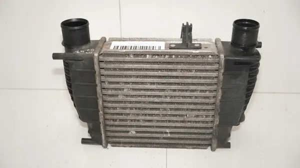 Intercooler OEM 360180833 pour Nissan NV200 09R- image 5