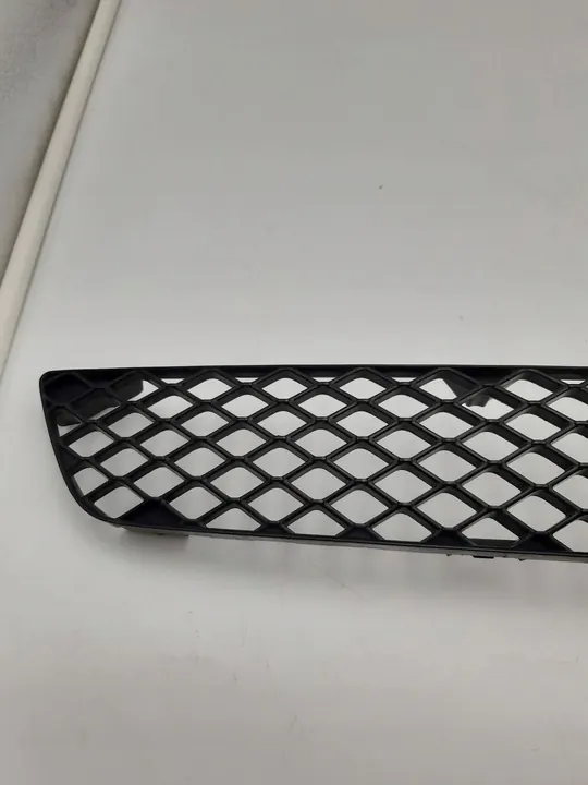 Mitsubishi Lancer X Radiator Grille image 3